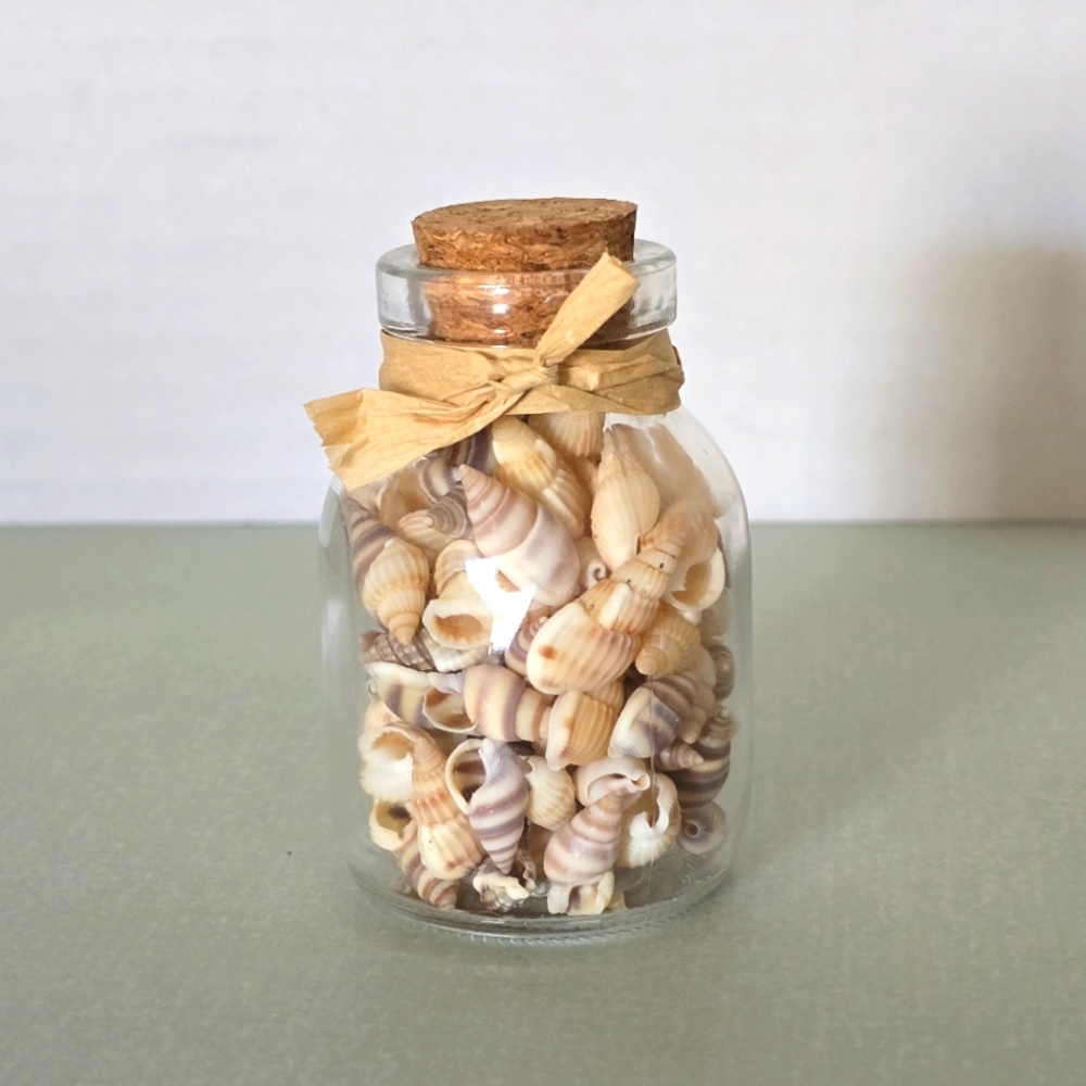 Beachcombers Nautical Natural Cerith Shells In A Glass Cork Bottle